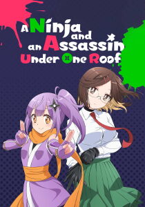 A Ninja and an Assassin Under One Roof [Sub-ITA] streaming
