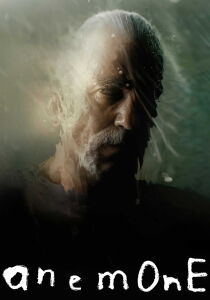 Anemone streaming