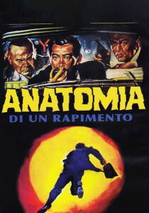 Anatomia Di Un Rapimento streaming