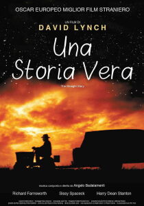 Una storia vera streaming