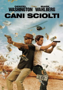 Cani sciolti streaming